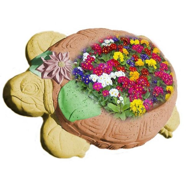 Цвет. "Черепаха с отверстием", 40х34х4,4 см 1900000004 фото